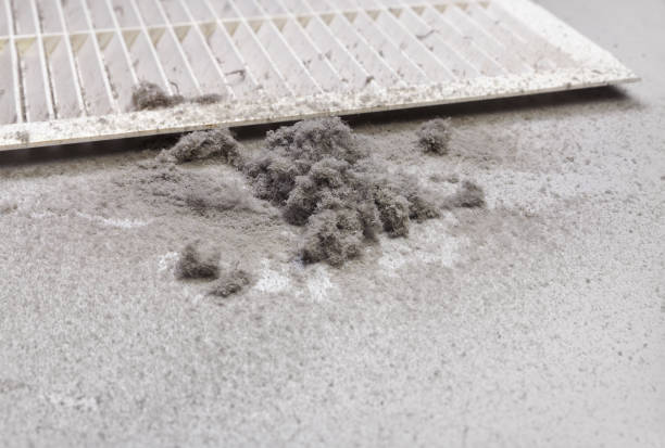 Best Professional Duct Cleaning Services  in Rlsbad, CA