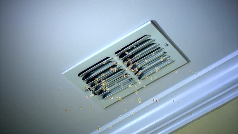 Best Commercial Air Duct Cleaning  in Rlsbad, CA